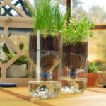 Artesanato com Garrafa PET: Como Criar Vasos Autoirrigáveis para sua Horta Sustentável